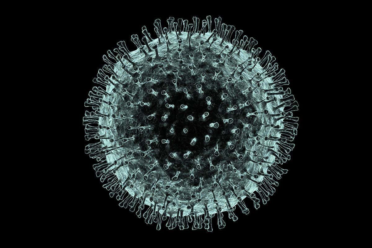 f0070229 coronavirus artwork spl e1584898493635 - Blog Slider